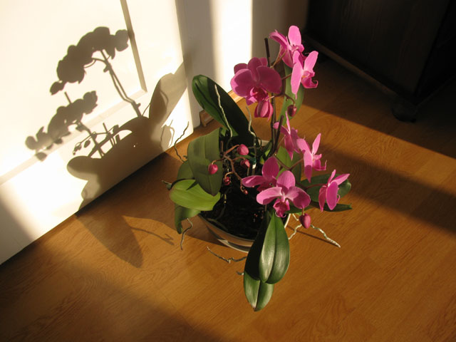 P1060096m