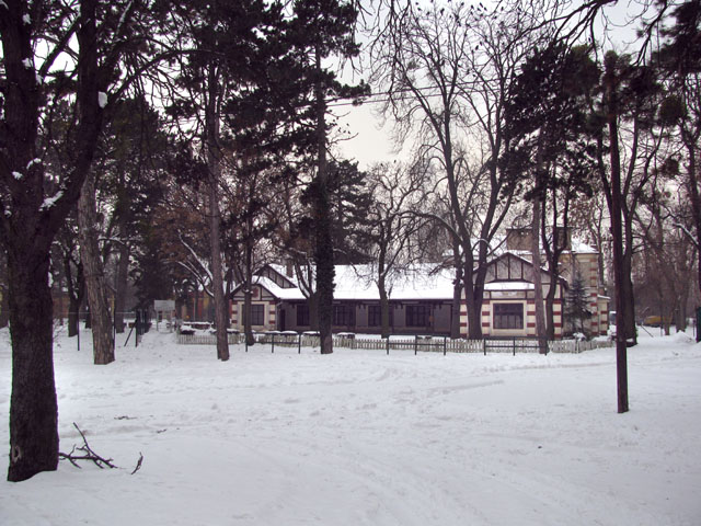 P1060096zc