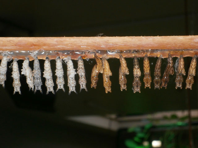 P1310072