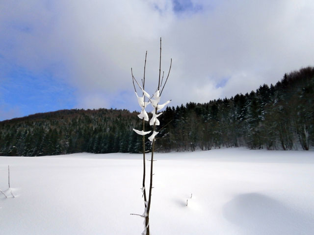 P1060014