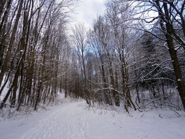 P1170011