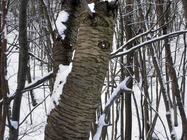 P1170016