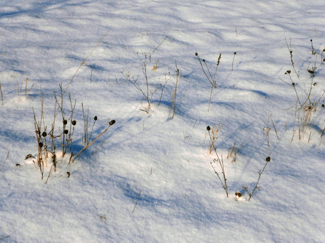 P1170027