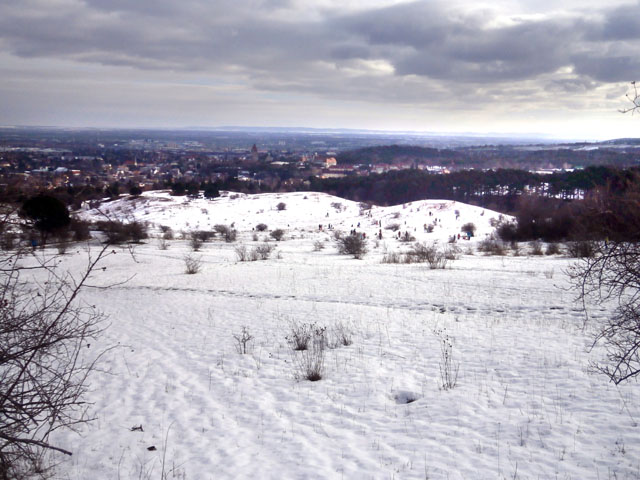 P1240010
