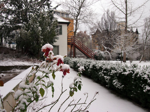 P1025876