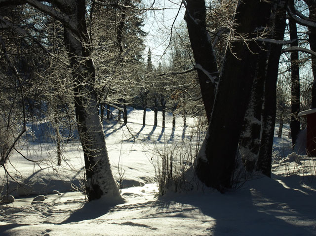 P1065996