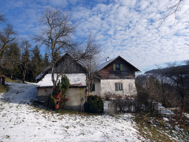 P1003324