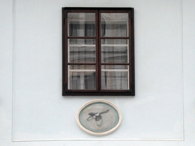 P1009040