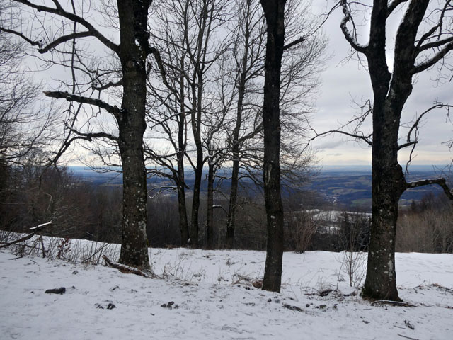 P1009076