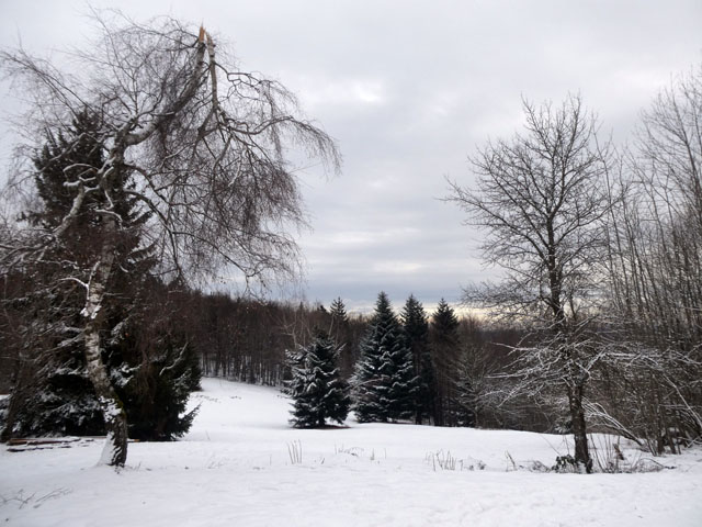 P1009078