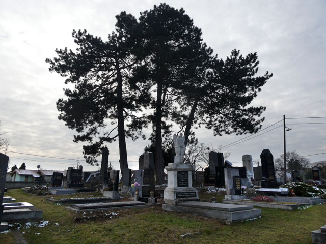 P1009152