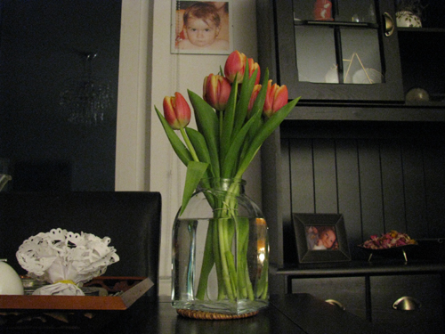 12022009 (1)