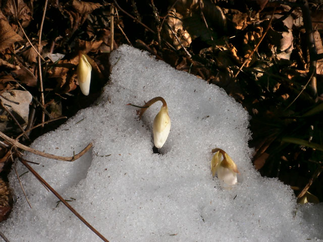 P2150012