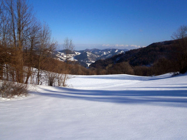 P2150029