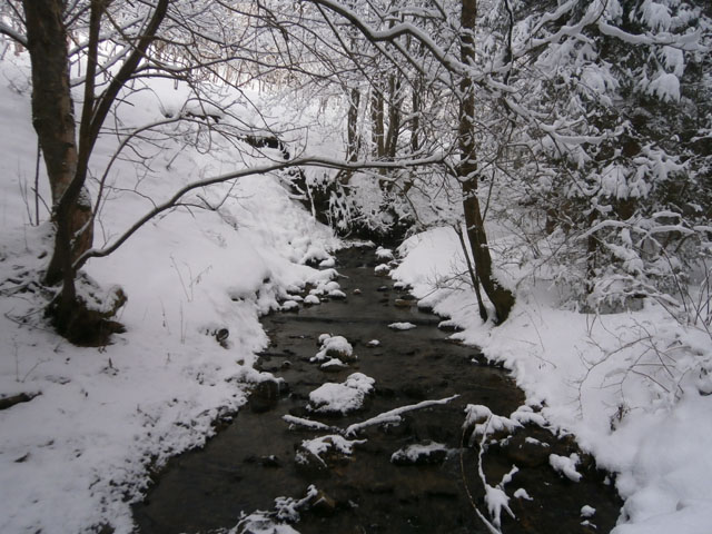 P2050086