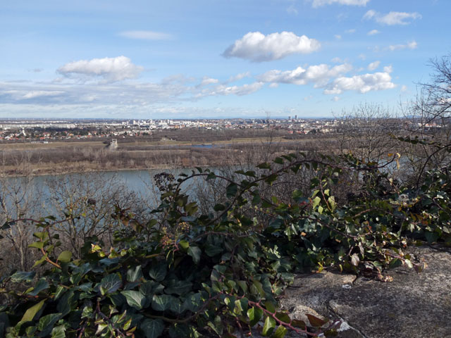 P1003552