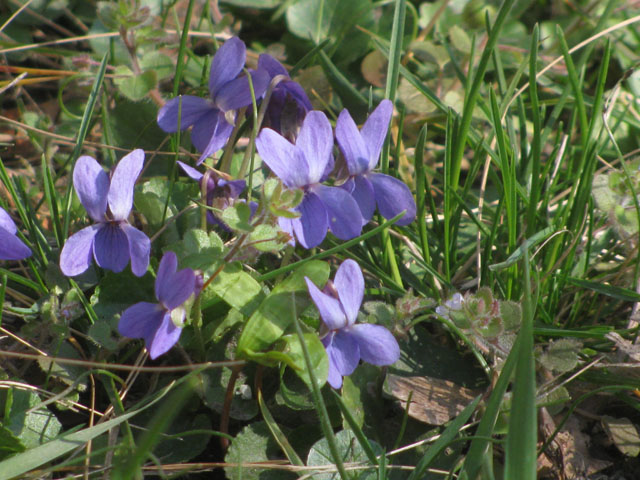 P3094105d