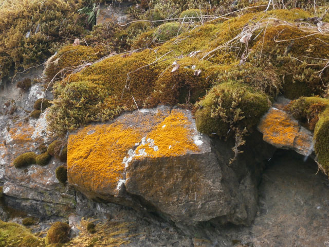 P3100198