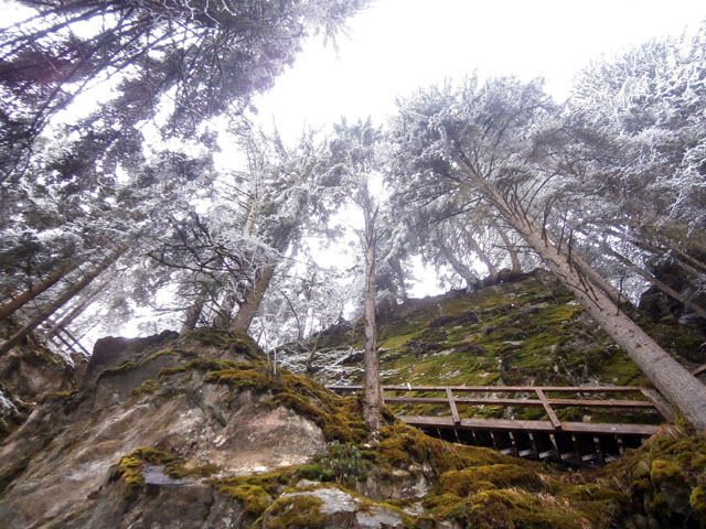P3100202