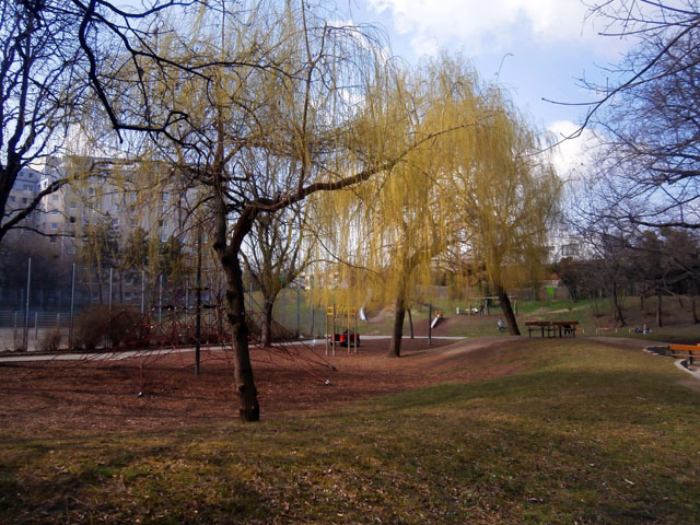 P3160017