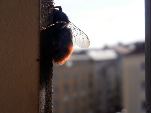 P3210011