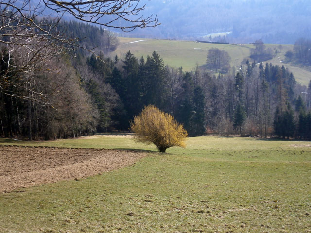 P3250079
