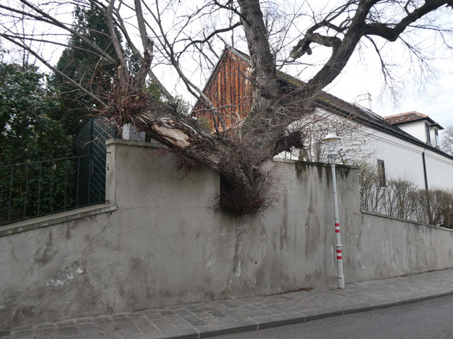 P1003800