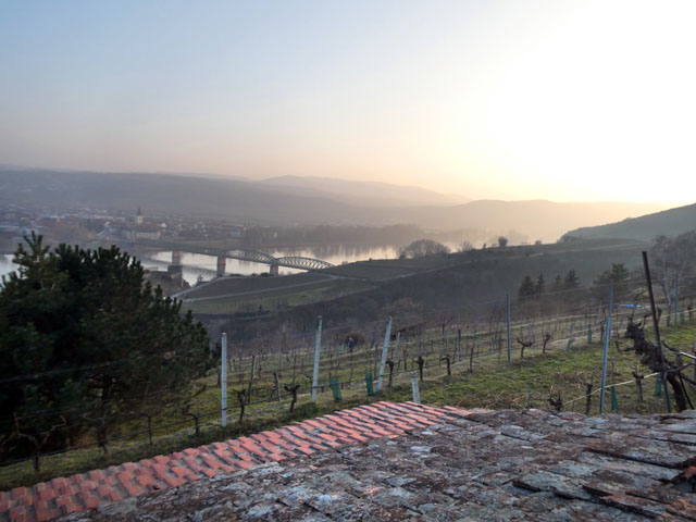 P1009553