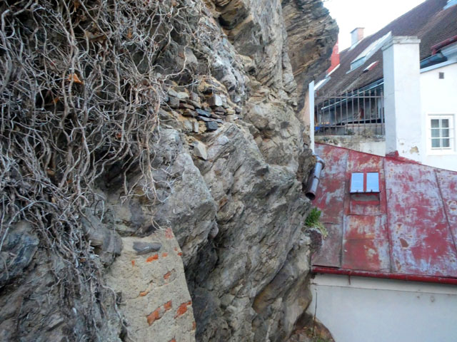 P1009558