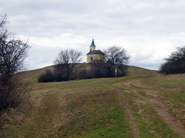 P1010002