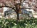 09042010 (1)