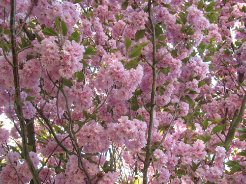 24042011 (4)