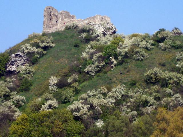 P4130079