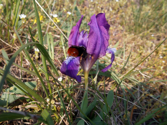 P4130102