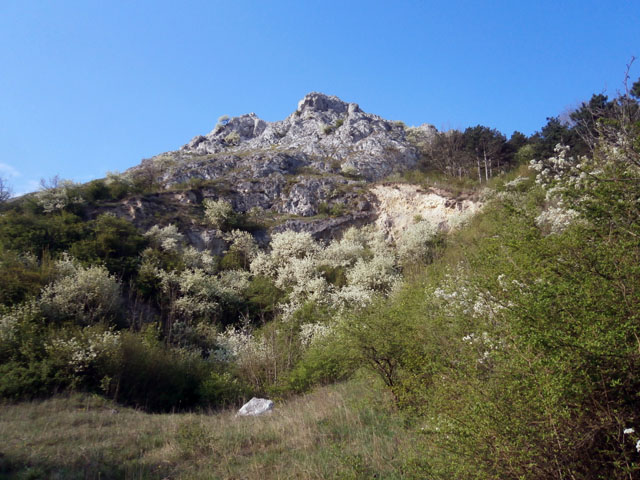 P4130120