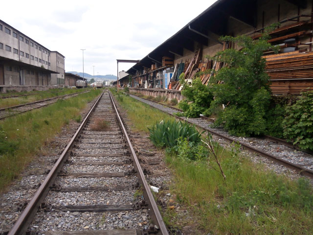 P4240029