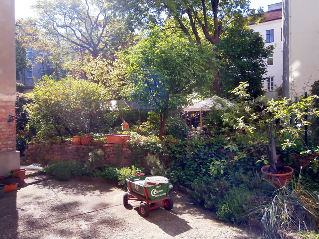 P4300019