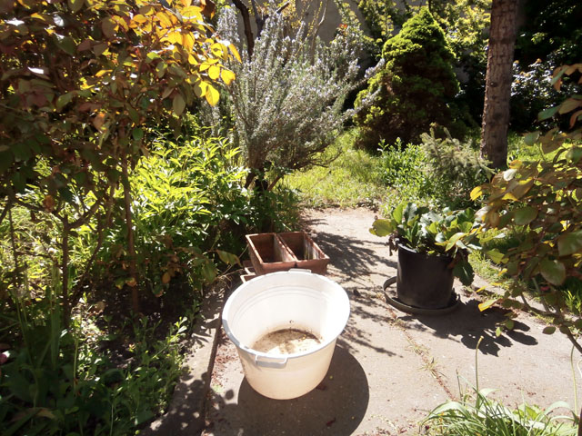P4300118