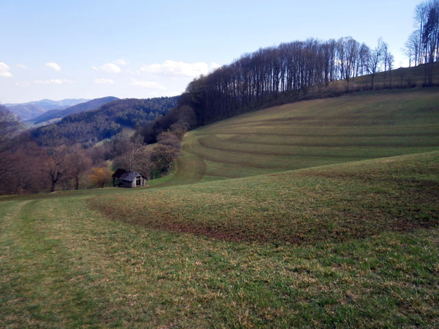 P4020046