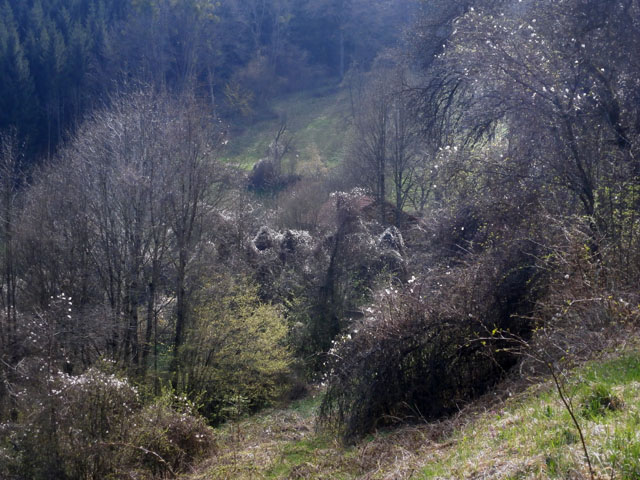 P4020070