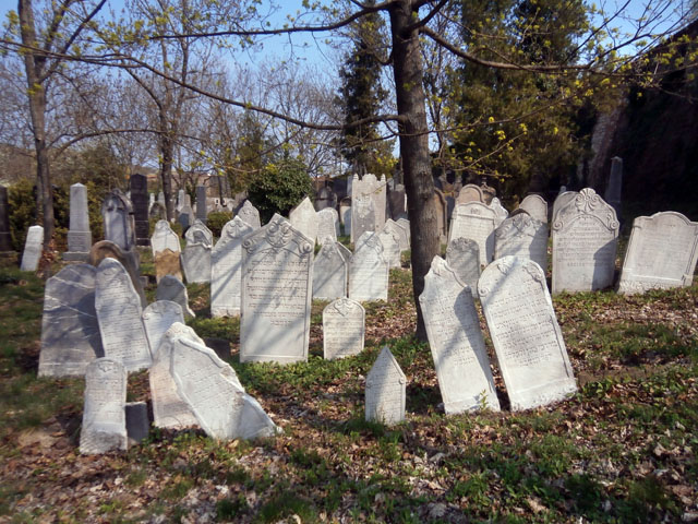 P4040028
