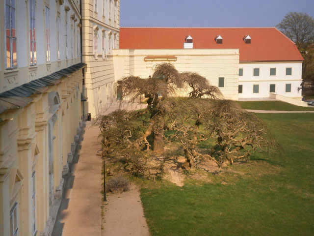 P4040046