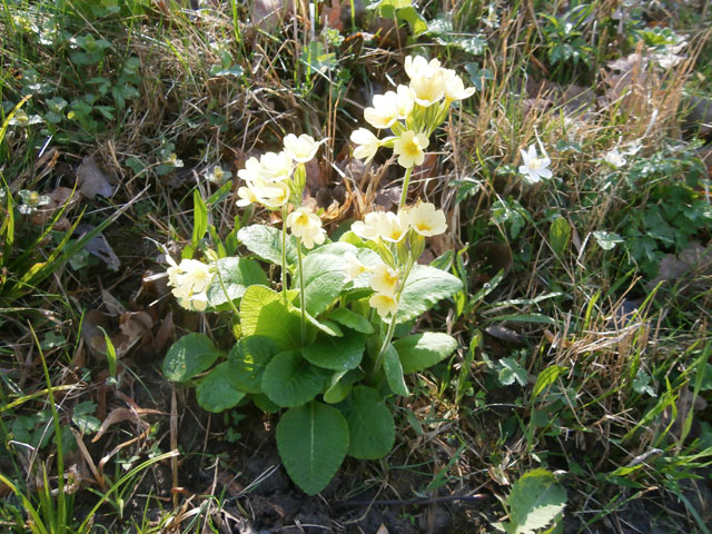 P4090032