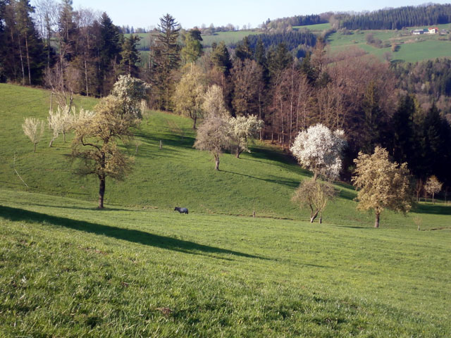 P4090083