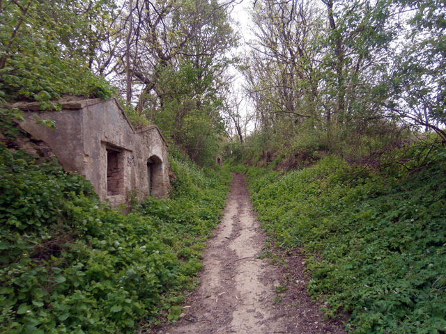 P4140029