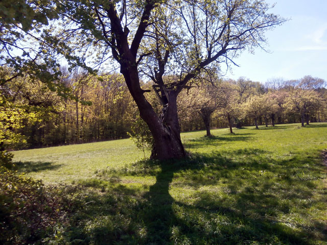 P4230020