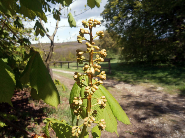 P4230023