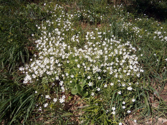 P4230035