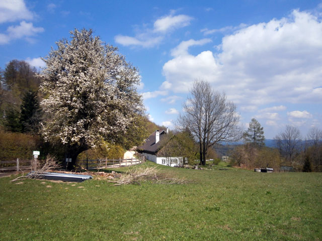 P4300008