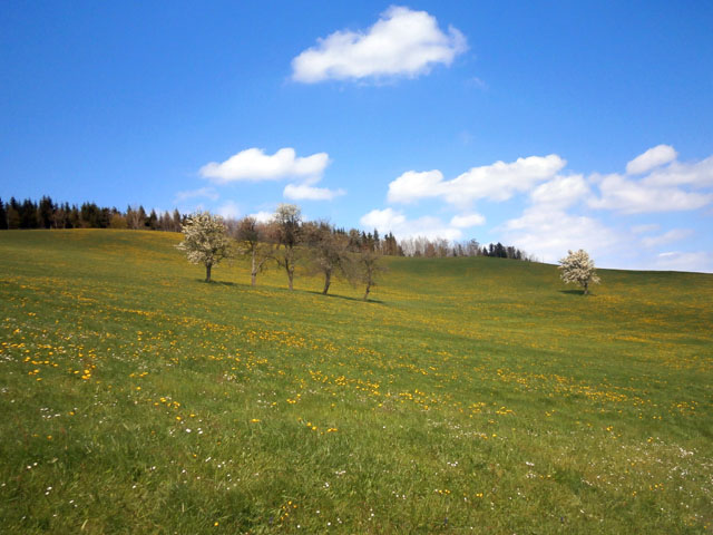 P4300016